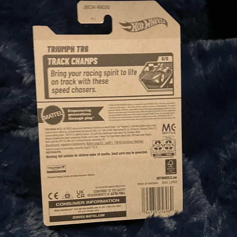 Hot Wheels Black and White Race Car Toy Treasure Hunt